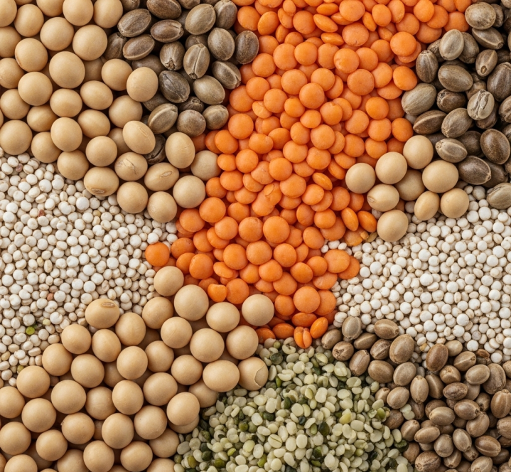 protéines végétales.jgp